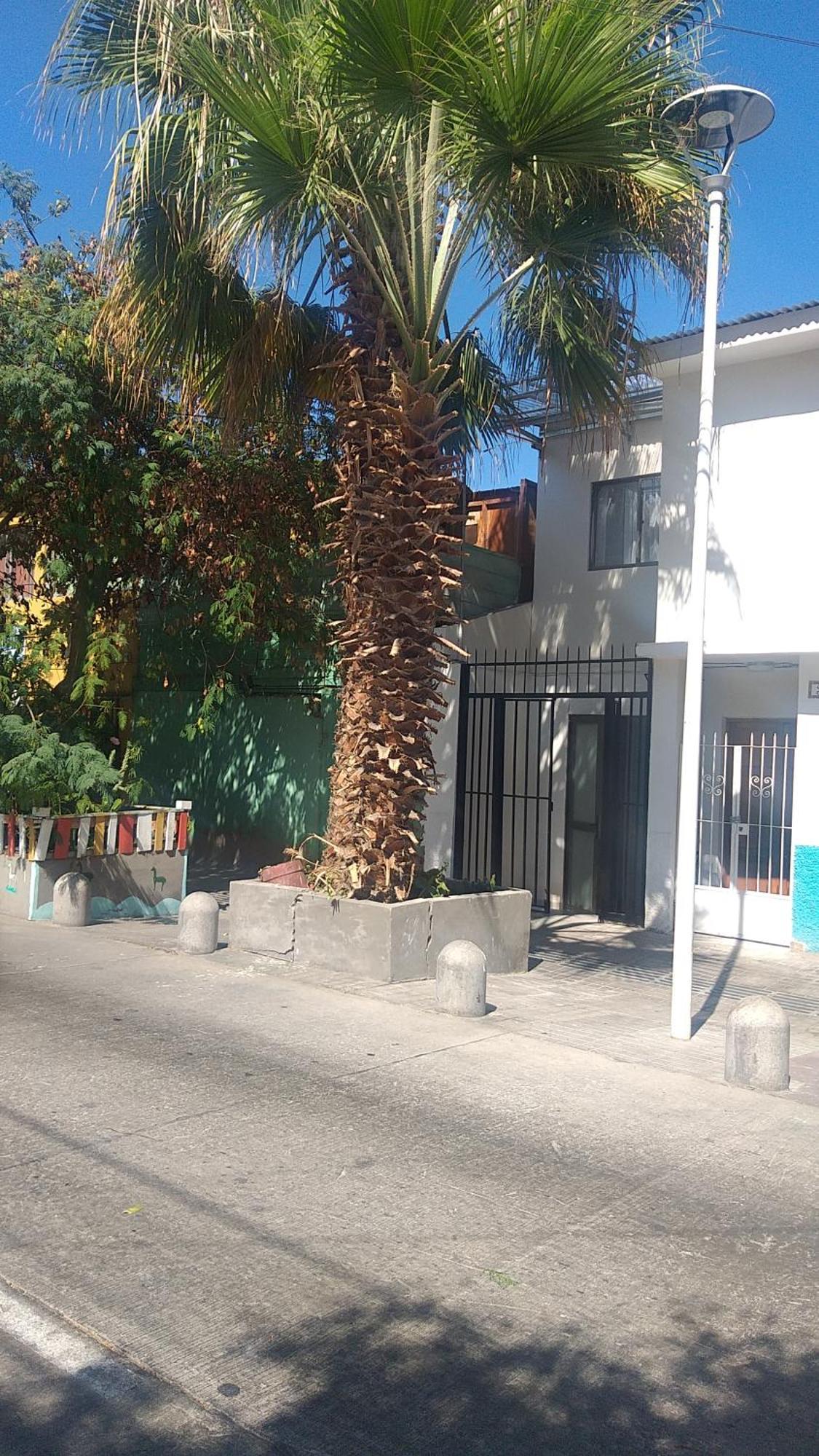 Hostal La Ruca Antofagasta Exteriér fotografie